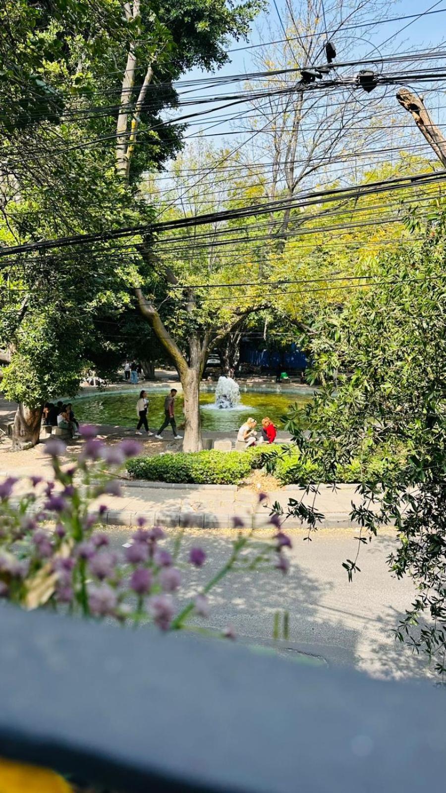 Nokal Exclusive Guest house Mexico City