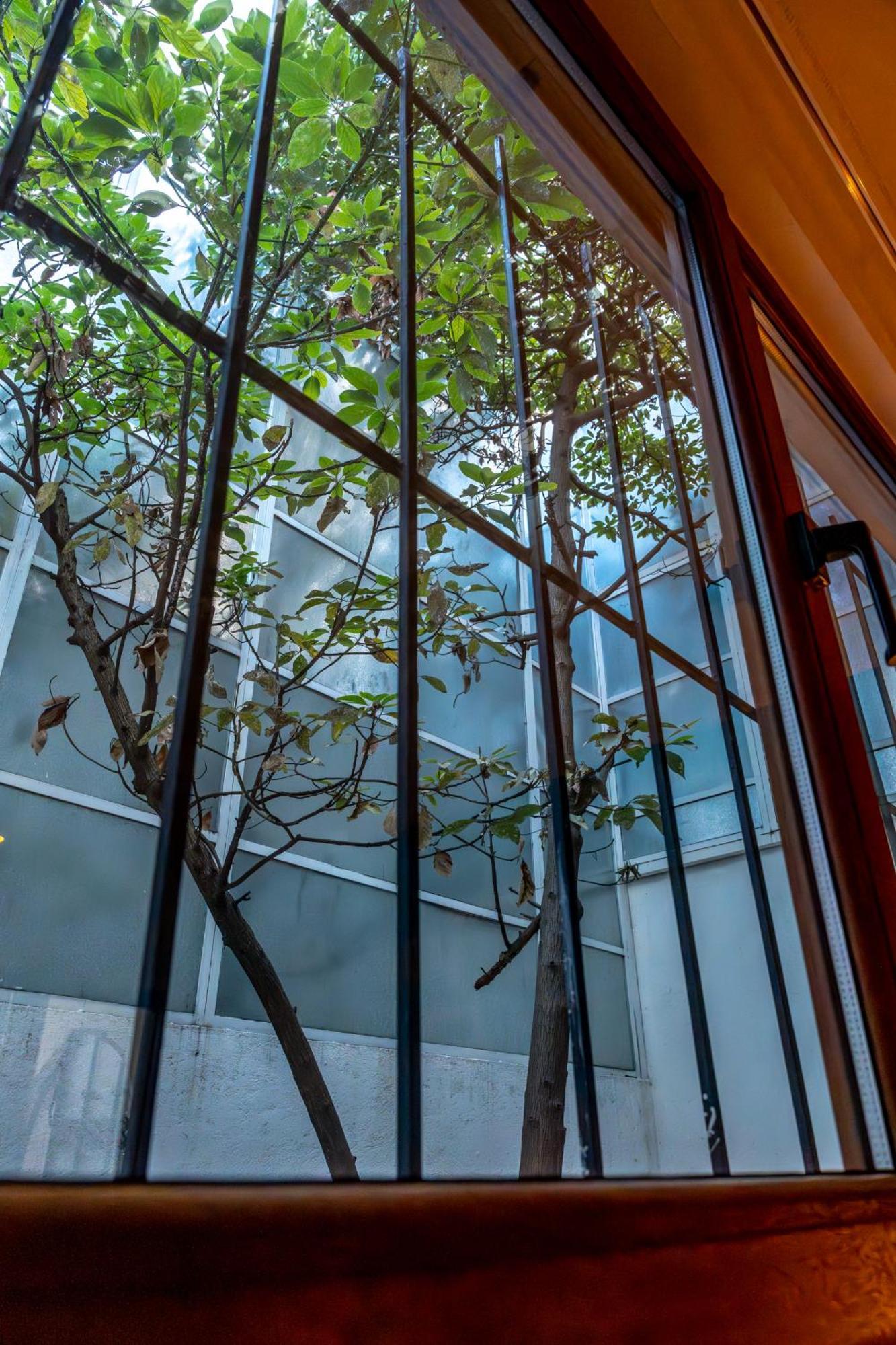 Guest house Nokal Exclusive Mexico City